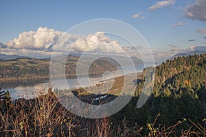 Autumn landscape in the Columbia River Gorge Oregon