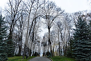 Autumn landscape, Copou Park, Vaslui City, Romania photo