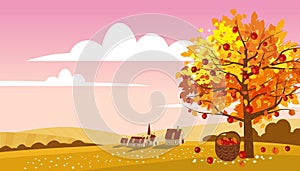 Autumn landscape countryside farm scene, apple tree, harvest. Rural fall view fields