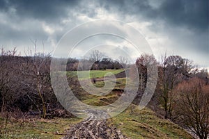 An autumn landscape with a dirt road to the forest and a dark overcast sky. A gloomy autumn day that causes depression