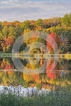 Autumn Landscape Doe Lake