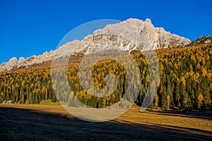 Autumn landscape in Dolomites, Italy, Mountains, fir trees and larches that change color assuming the typical yellow autum photo