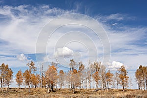 Autumn landscape with dramatic sky