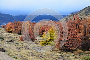 Autumn landscape in El Chalten Patagonia Argentina