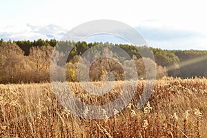 Autumn landscape. Field with dry grass. Ray of sunshine