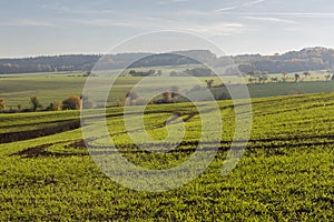 Autumn landscape with fields and trees