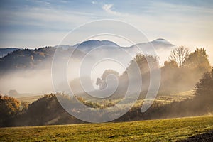 Autumn landscape in fog.