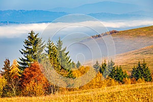 Autumn landscape, foggy morning in the region of Orava, Slovakia