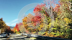 Autumn landscape in foliage season. Trees along the road
