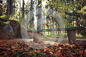 autumn landscape at forest