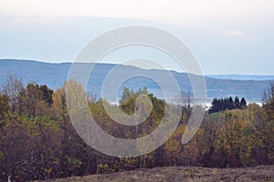 Autumn landscape in the forest. bright sunbeams in vibrant colors