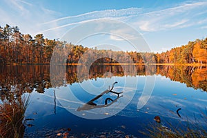 Autumn landscape with forest lake at sunny calm fall morning vibrant trees foliage reflection