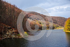 Autumn landscape in the forest near lake