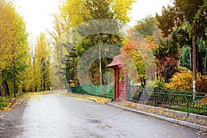 Autumn landscape in the forest with old road