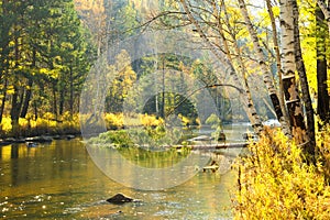 Autumn landscape on a forest river