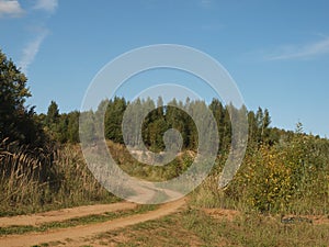 Autumn landscape. Forest road in the autumn forest among wilting grass, bushes and trees