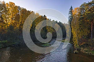 Autumn landscape, forest trees are reflected in calm river water against a background of blue sky and white clouds