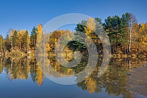 Autumn landscape, forest trees are reflected in calm river water against a background of blue sky and white clouds