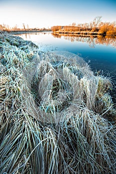 Autumn landscape, frosty morning by the river. Western Siberia