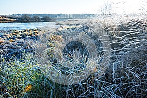 Autumn landscape, frosty morning by the river. Western Siberia