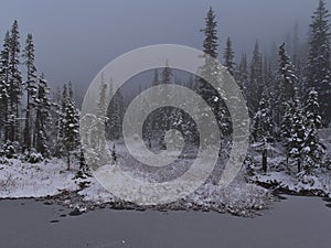 Autumn landscape with frozen lake and the first snow of the season covering the trees near Mount Edith Cavell, Alberta, Canada.