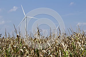 Autumn landscape with giant wind power turbines in a crop field