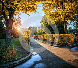 Autumn landscape in Gorky Park