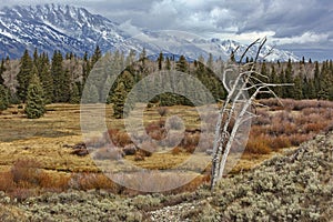 Autumn landscape of Grand Teton National Park in Wyoming