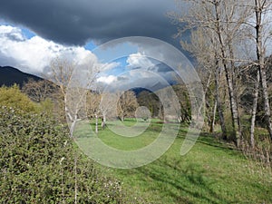 Autumn landscape with grass field and trees in the mountains under heavy clouds.