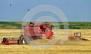 Autumn landscape. Harvester and tractor on the field