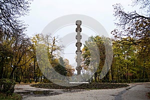 Autumn landscape in Herastrau park