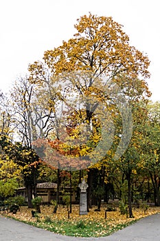 Autumn landscape in Herastrau park and Leonardo da Vinci statue.