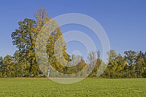 Autumn landscape in the Isarwinkel