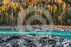 Autumn landscape in Kanas river