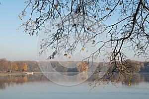 Morning in the autumn park. Lake in the forest.