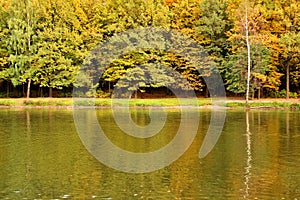 Autumn landscape on lake. Park in the fall. Golden autumn.