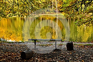 Autumn landscape on lake. Park in the fall. Golden autumn.