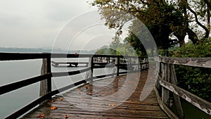 Autumn Landscape on the Lake with Rain - 5K