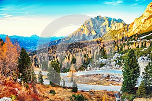 Autumn landscape with larches  in Dolomite Alps and fantastic  Falzarego pass at sunset