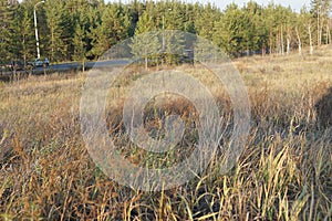 Autumn landscape, a large open area of grassland