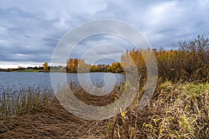 Autumn landscape with a large reservoir and birch trees with yellow leaves