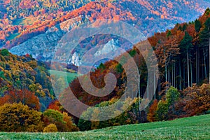Jesenná horská krajina s farebným lesom a skalou pri západe slnka. Chránené územie Vršatec, Slovensko.