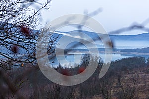 Autumn landscape with a leafless forest and lake. Background using the fuzzy berries of wild rose