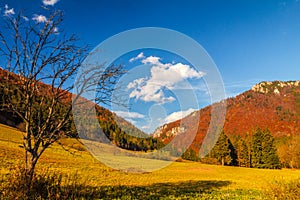 Podzimní krajina v národním parku Malá Fatra, Slovensko