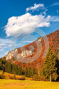 Podzimní krajina v národním parku Malá Fatra, Slovensko