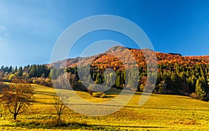 Podzimní krajina v národním parku Malá Fatra, Slovensko