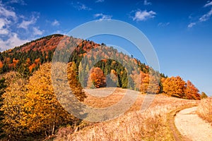 Autumn landscape in The Mala Fatra national park, Slovakia