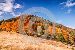 Jesenná krajina v Národnom parku Malá Fatra, Slovensko