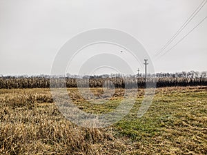 Autumn landscape in Maramures, Romania