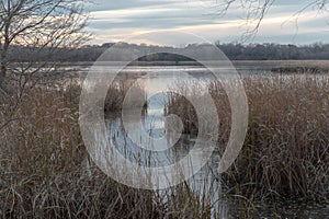 Autumn landscape on a marsh in Minnesota